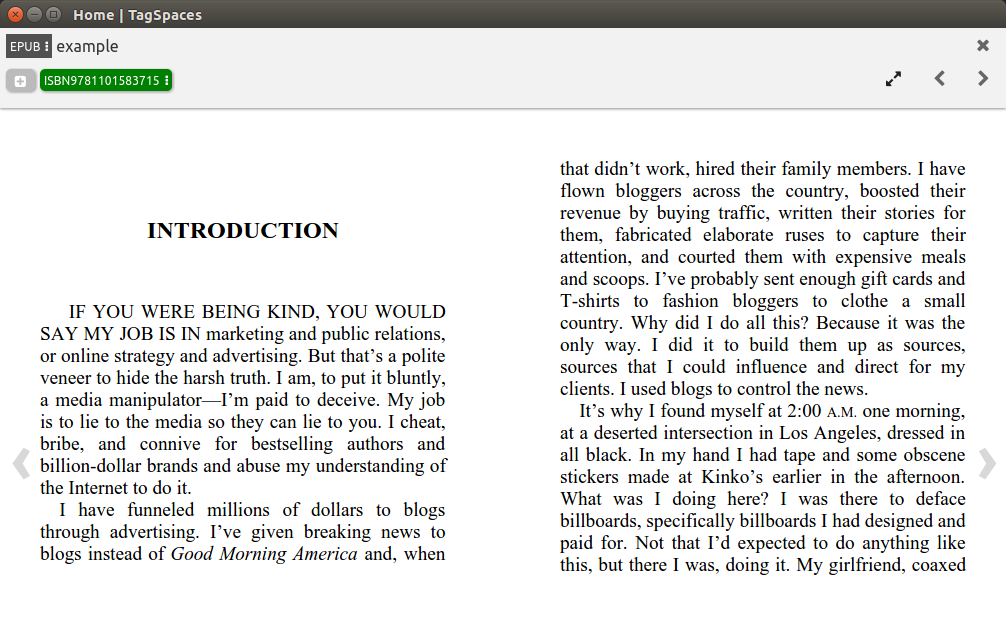 screenshot of the viewerEPUB extension used for opening of ebooks in epub format