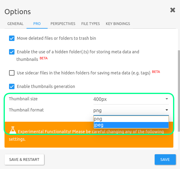 screenshot showing the configuring of the thumbnails size and format