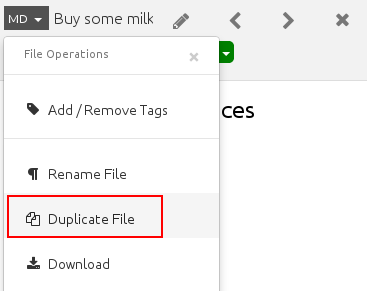 Duplicate file functionality